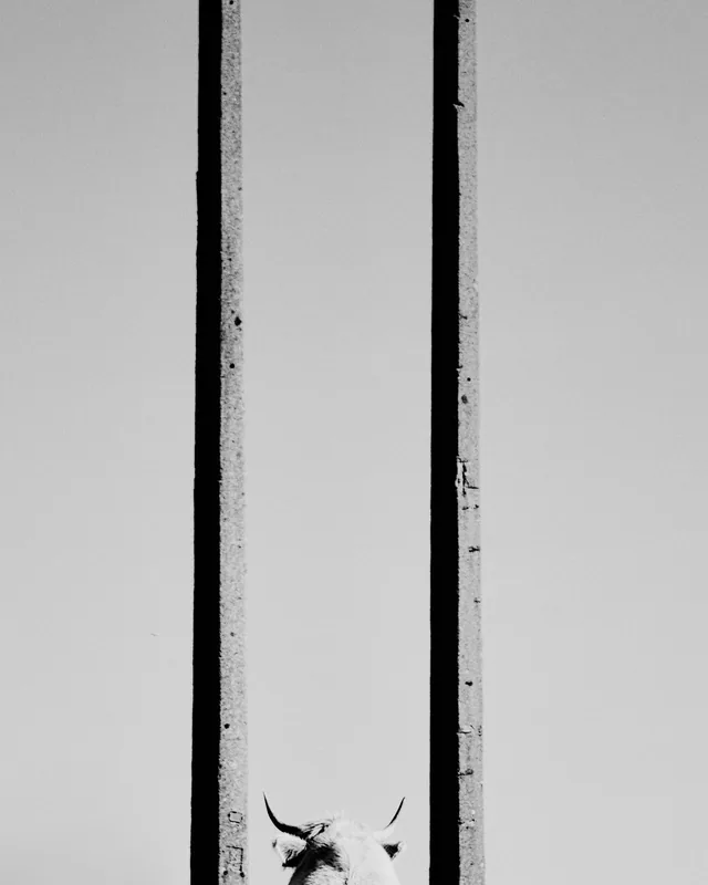 Heights, photo 5 of 10