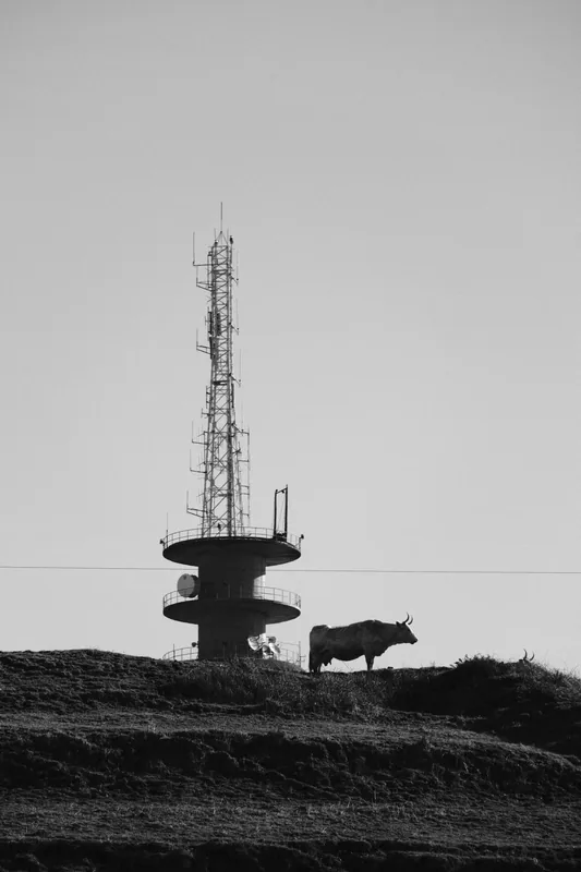 Heights, photo 6 of 10